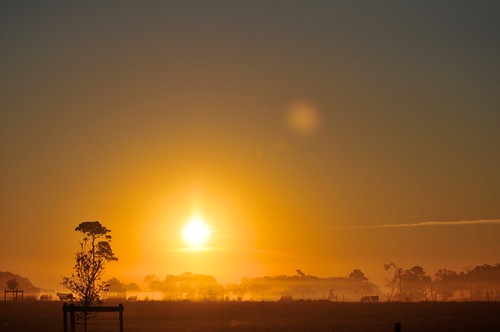 morning sunrise texas hempstead goldenhour