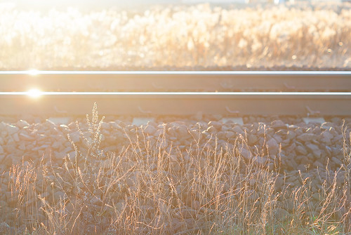 railroad sunlight oneaday track sweden schweden railway photoaday sverige pictureaday sonnenschein gleis kristinehamn project365 solljus räls dt50mmf18sam