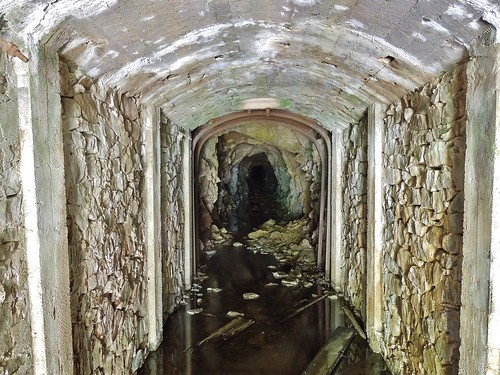 roosevelt gold mine colorado pitkin tunnel mining abandoned