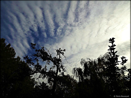 nature fuji bleu ciel finepix nuage roussillon arbre parc catalogne pyrénéesorientales suddelafrance toulouges bleumarie mariebousquet parcdeclairfont photomariebousquet