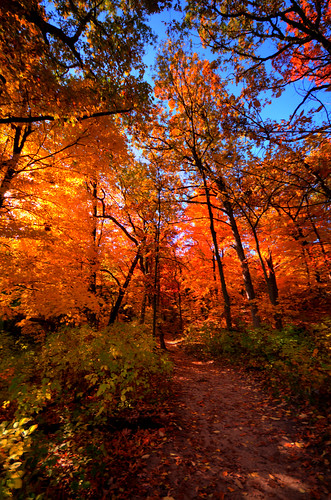 park autumn fall rock state fallfoliage foliage starved starvedrock starvedrockstatepark starvedrockillinois