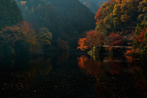 autumn sunset lake reflection fall japan 2012 kamakitako saitamapref moroyamatown
