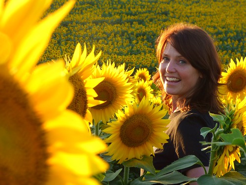 sunflowers grinterfarms kansas flowers lawrencekansas fieldofsunflowers sunshine sunset