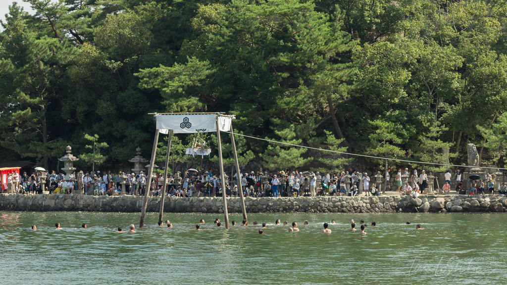 厳島神社　玉取祭 2016 (Itsuku-shima shrine TAMATORI Festival 2016)