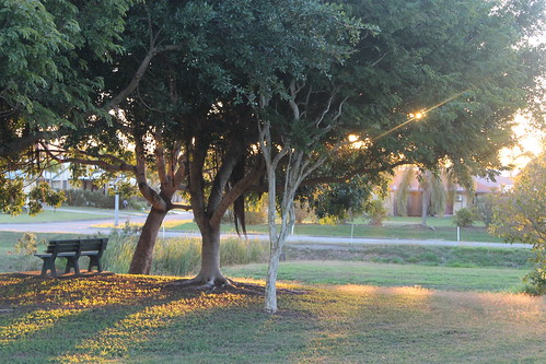 park light sunset shadow sun tree slr nature grass canon landscape chair natural tumblr