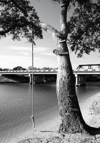 farm market swimming rope swing tree steps concrete fm 616 garcitas creek bridge inez texas bw monochrome black white blackwhite blackandwhite pontist united states north america
