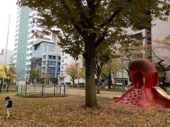 タコ公園にて (2012/11/24)