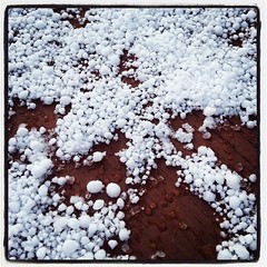 Tiny snowballs.