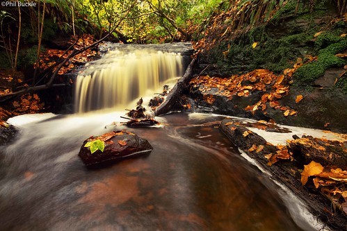 water leaves waterfall geltwood rivergelt