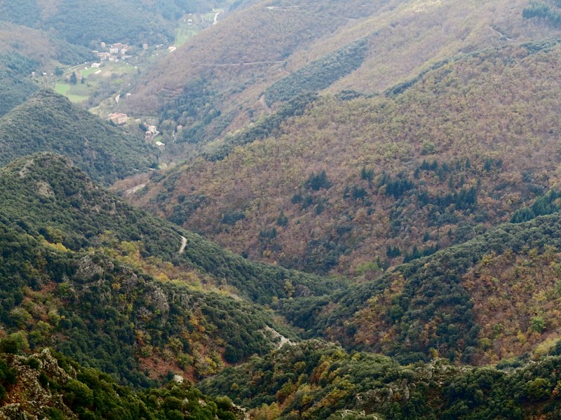 Vallée cévénole près du Mont Aigoual