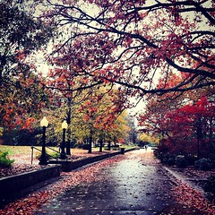 A Walk In the Fall Rain