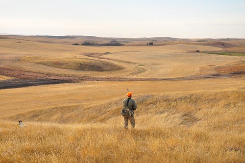 Saskatchewan Hunt