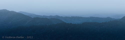 camera autumn fall season tennessee workshop smokymountains 2012 supershot toryporter blinkagain olympusomdem5 smokymountainphototour