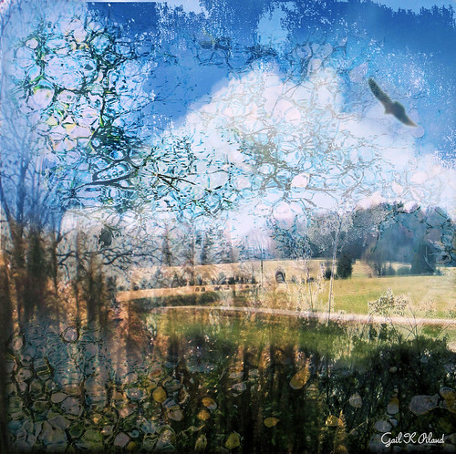 trees bird clouds landscape textured countryroads deepcreek thegalaxy flickraward rememberthatmomentlevel1
