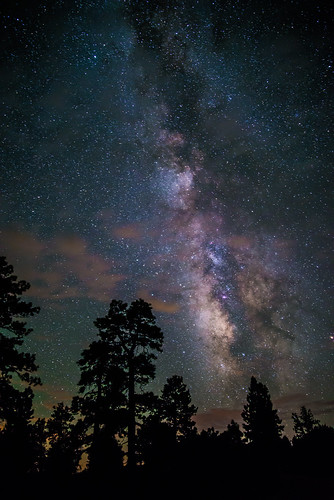 milky way stars starscape night utah trees adventure outside outdoors astrophotography nightscape