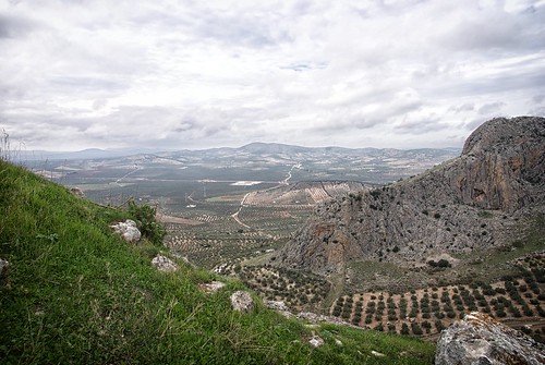spain olive andalucia hills alcazar malaga archidona virgendegracia