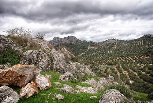 spain rocks view andalucia hills olives malaga archidona virgendegracia
