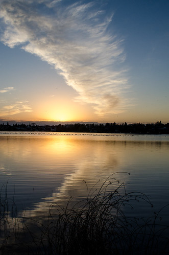 sunset seagulls lake reflection clouds