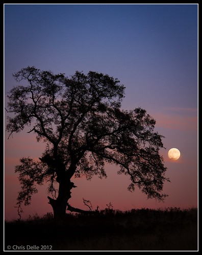 california sunset foothills canon landscape dusk fullmoon moonrise 7d oaktree scottroad 55250mm