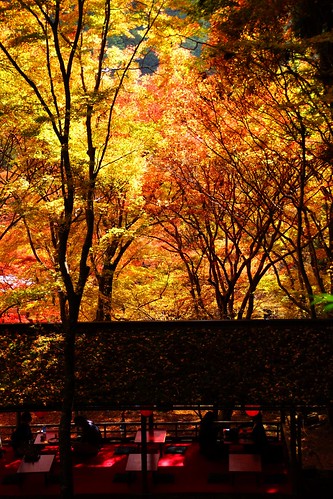 nature japan kyoto autumncolors 京都 神護寺 jingojitemple 20121116dsc01432