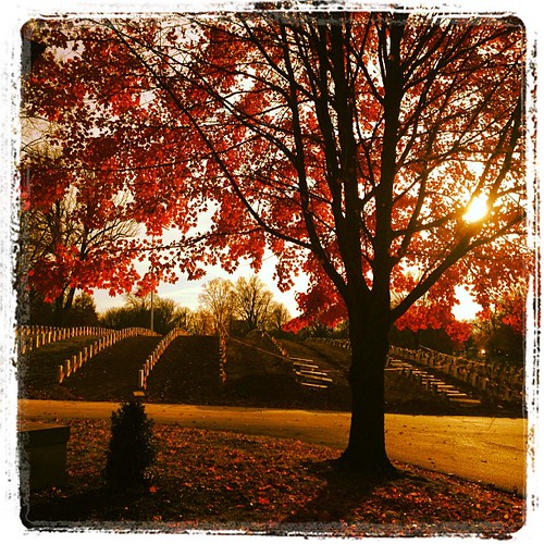 sunset graveyard square squareformat veteransday lordkelvin crownhillcemetery iphoneography instagramapp uploaded:by=instagram