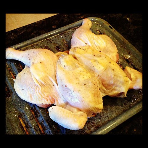 The bird is 'cocked and ready to go. Yes that is butter under the skin...what of it? :)