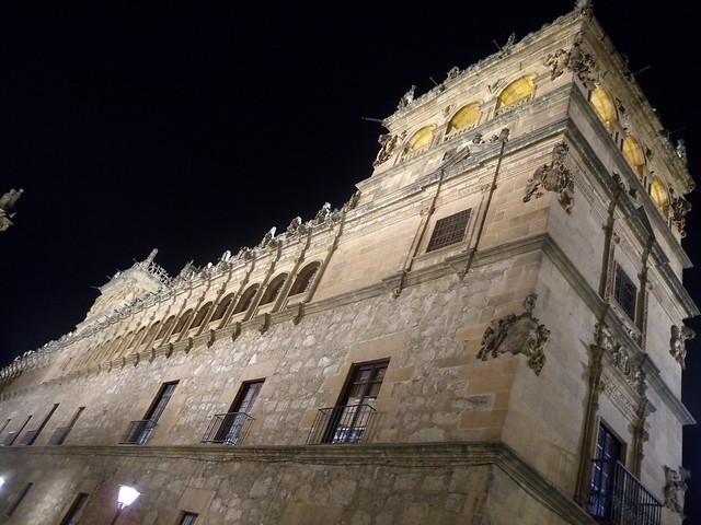 Fin de semana en Salamanca - Blogs de España - ETAPA ÚNICA (8)
