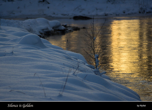 winter snow reflections river gold golden stream meyeroptikgörlitzorestegor2004