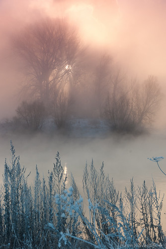 winter light mist snow tree misty river book licht sneeuw ijssel ♣ harmk velperwaarden harmklaverdijk