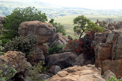 southafrica hike karmor suikerboshfontein