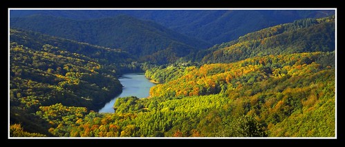 colores caminos bosque otoño euskalherria basquecountry embalse hayas senderos pagoak artikutza