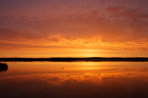 red reflection water sunrise rouge nikon eau lac nl sigma1224mm loon labradorcity huart d7000 levédusoleil littlewabushlake rélection
