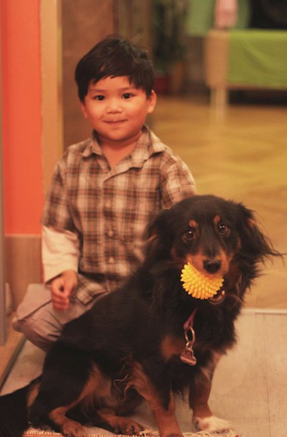 kid and black dog