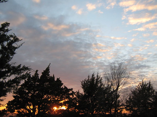 trees sunset sky sun clouds kansas fleeting mothernature longing yearning fortrileysunset