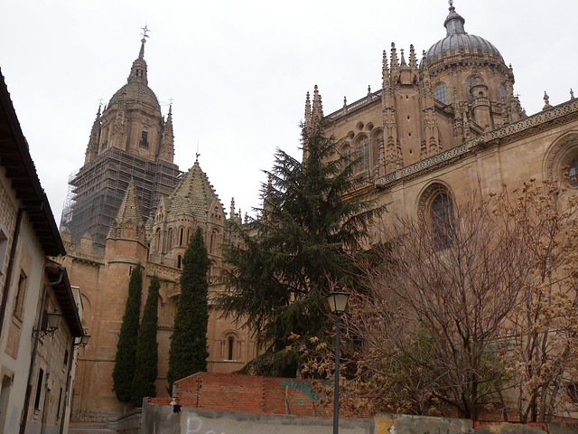 Fin de semana en Salamanca - Blogs de España - ETAPA ÚNICA (36)