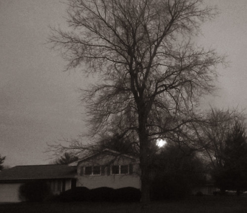 autumn sky moon tree canon illinois dusk bare moonrise duotone normal canonpowershotelph100hs