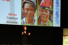Vanessa Hayes   Defining Human Diversity   TEDxSanDi… 