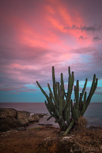 ocean pink blue light sea cactus cliff seascape nature rock clouds cacti landscape outdoors cuba geology epic luminous caribean