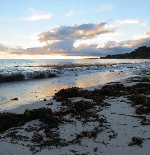 sunset sea mer france beach mar brittany tramonto bretagne playa plage coucherdesoleil algues finistère bretaña fouesnant begmeil artadecer