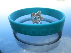 bracelet and pin