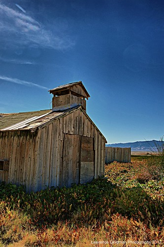 california building abandoned weeds view gritty frame ghosttown ruraldecay dilapidated keelercalifornia