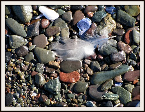 white beach found lost rocks feather lostandfound gravel