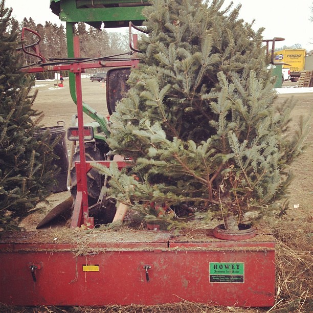 Howey Christmas tree shaker. | Flickr - Photo Sharing!