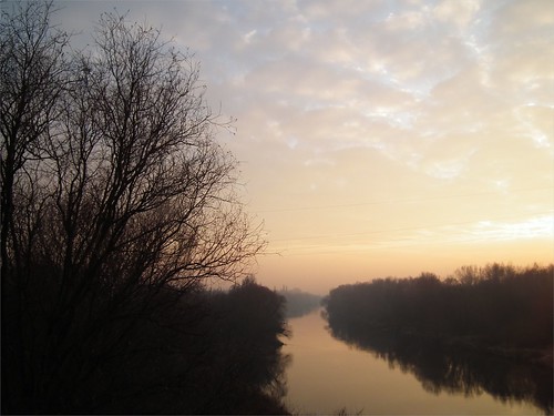 trees sunset water river poland polska poznań poznan wilda warta
