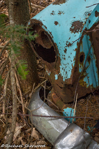 cars abandoned woodland nikon rust novascotia barrett abandonedcars nikond3100 beaverbankns
