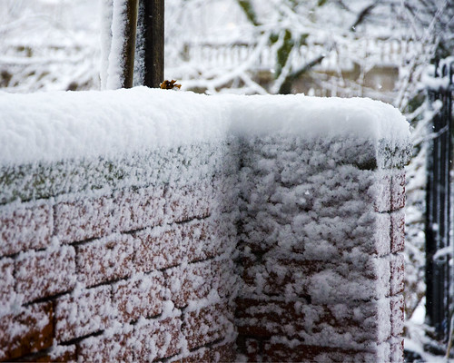 winter snow brick wall garden