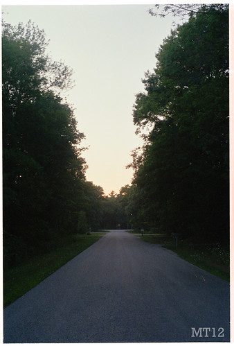 road trees sunset summer ontario mamiya film port 35mm afternoon matthew franks 2012 trevithick matthewtrevithick mtphotography