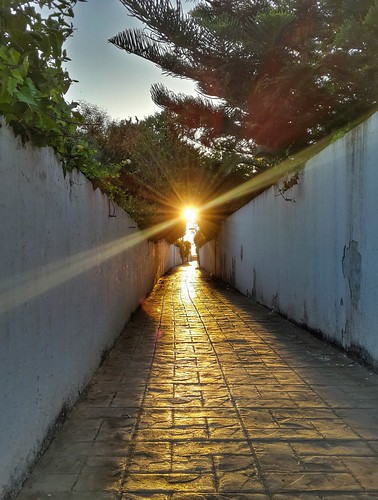 beach alley sun sunny glow ray sunrise tree tetouan tetuan morocco maroc marruecos cabonegro cabo negro wall sky hdr