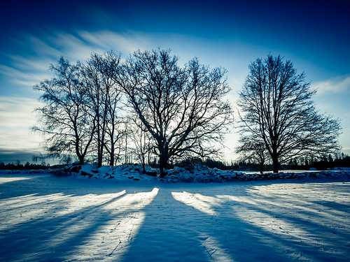 longexposure winter cloud sun snow tree landscape lumix day sweden g x panasonic 12 35 f28 swe älmhult olympusem5 dennisberggren pwwinter