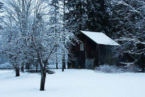 county christmas winter 6 snow storm nature barn forest landscape woods december pennsylvania rustic north snowstorm potter route anderson mina euclid wonderland township winterwonderland olmstead coudersport eulalia pottercounty route6 northolmstead angela11anderson eulaliatownship angelatravels